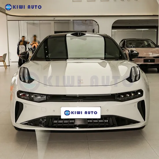 Ce Certificate New Energy Luxury Passenger Vehicle Family Sedan Electric Car